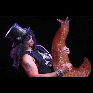 Meet your Posher, Jackson